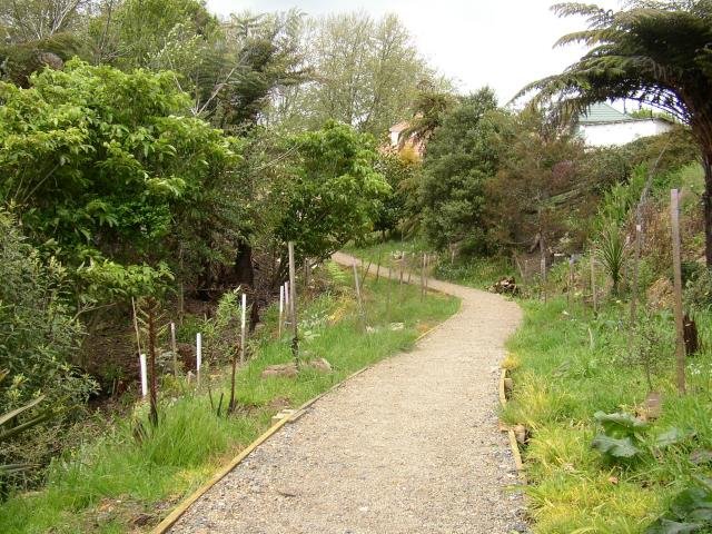 Top path. Oct 2003. Cambridge Tree Trust